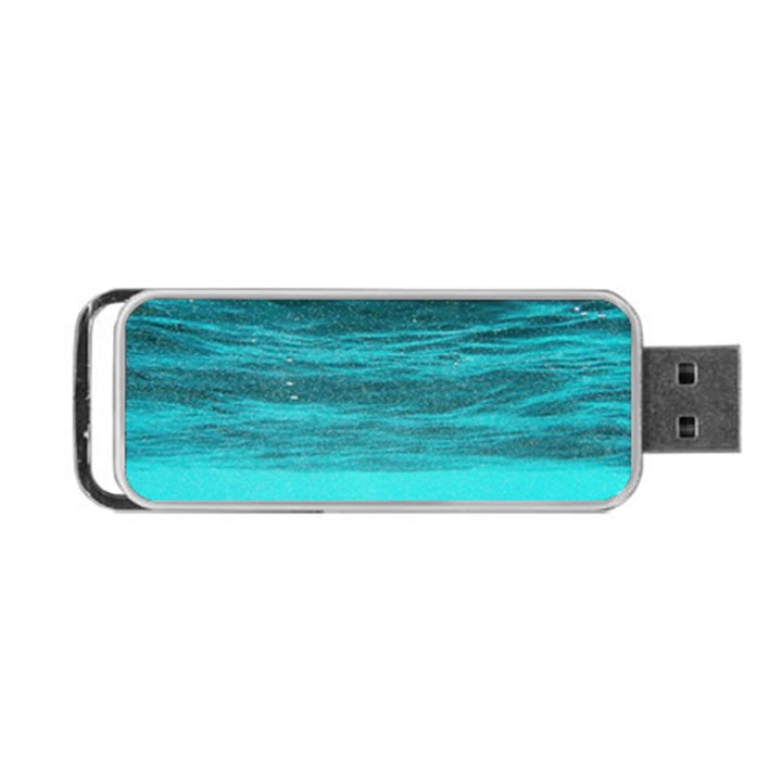 UNDERWATER WORLD Portable USB Flash (Two Sides)