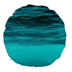 Underwater World Large 18  Premium Round Cushions