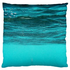 Underwater World Standard Flano Cushion Cases (one Side)  by trendistuff