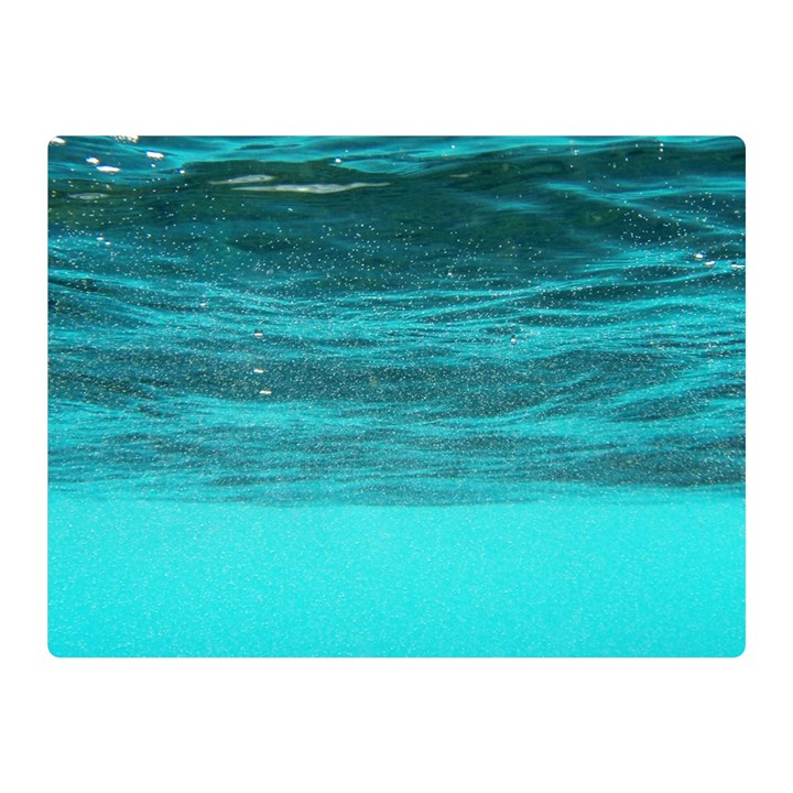 UNDERWATER WORLD Double Sided Flano Blanket (Mini) 