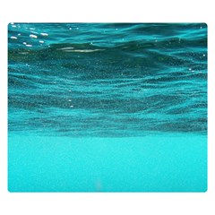 Underwater World Double Sided Flano Blanket (small) 