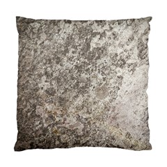 Weathered Grey Stone Standard Cushion Case (one Side) 