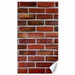 Colorful Brick Wall Canvas 40  X 72  