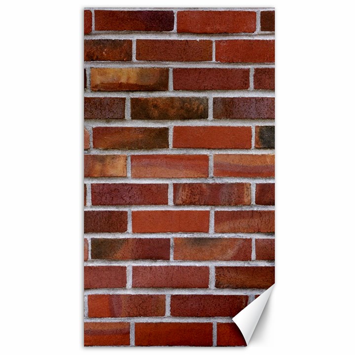 COLORFUL BRICK WALL Canvas 40  x 72  