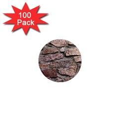 Cemented Rocks 1  Mini Magnets (100 Pack) 