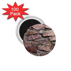 Cemented Rocks 1 75  Magnets (100 Pack) 