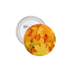 Yellow Maple Leaves 1 75  Buttons