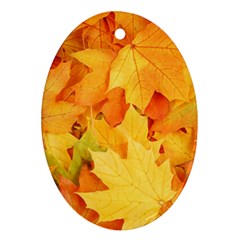 Yellow Maple Leaves Ornament (oval)  by trendistuff