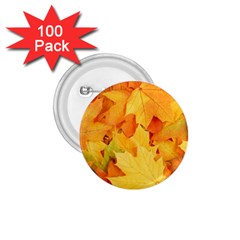 Yellow Maple Leaves 1 75  Buttons (100 Pack) 