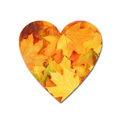 Yellow Maple Leaves Heart Magnet