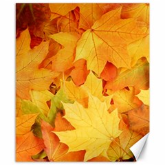 Yellow Maple Leaves Canvas 8  X 10 