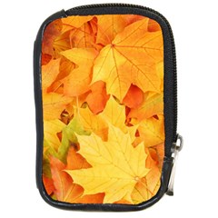 Yellow Maple Leaves Compact Camera Cases by trendistuff