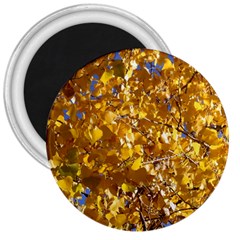 Yellow Leaves 3  Magnets