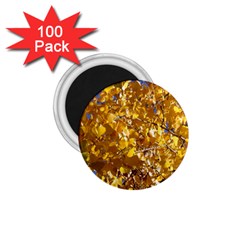 Yellow Leaves 1 75  Magnets (100 Pack) 