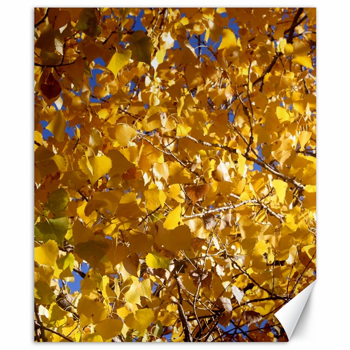 YELLOW LEAVES Canvas 8  x 10 