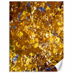 Yellow Leaves Canvas 12  X 16  