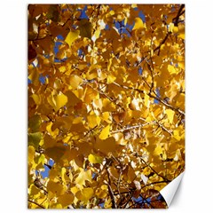 Yellow Leaves Canvas 18  X 24  