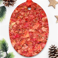 Red Maple Leaves Ornament (oval)  by trendistuff