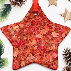 Red Maple Leaves Ornament (star)  by trendistuff