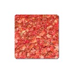 RED MAPLE LEAVES Square Magnet Front