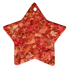 Red Maple Leaves Star Ornament (two Sides)  by trendistuff