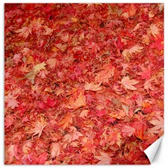 Red Maple Leaves Canvas 12  X 12   by trendistuff