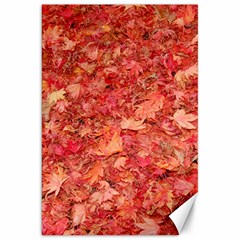 Red Maple Leaves Canvas 20  X 30   by trendistuff