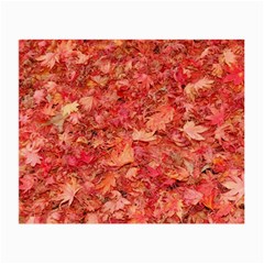 Red Maple Leaves Small Glasses Cloth (2-side)