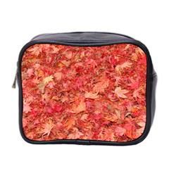 Red Maple Leaves Mini Toiletries Bag 2-side by trendistuff