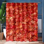 RED MAPLE LEAVES Shower Curtain 60  x 72  (Medium)  60 x72  Curtain