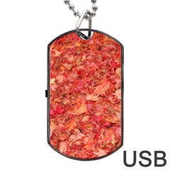 Red Maple Leaves Dog Tag Usb Flash (two Sides)  by trendistuff