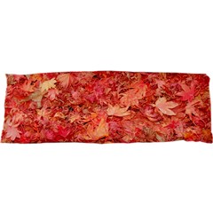 Red Maple Leaves Samsung S3350 Hardshell Case by trendistuff