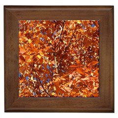 Orange Leaves Framed Tiles by trendistuff