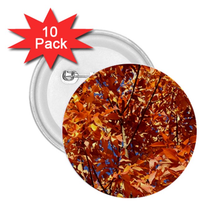 ORANGE LEAVES 2.25  Buttons (10 pack) 