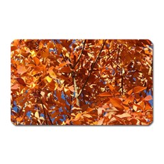 Orange Leaves Magnet (rectangular) by trendistuff