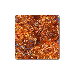 Orange Leaves Square Magnet