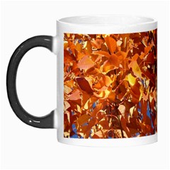 Orange Leaves Morph Mugs