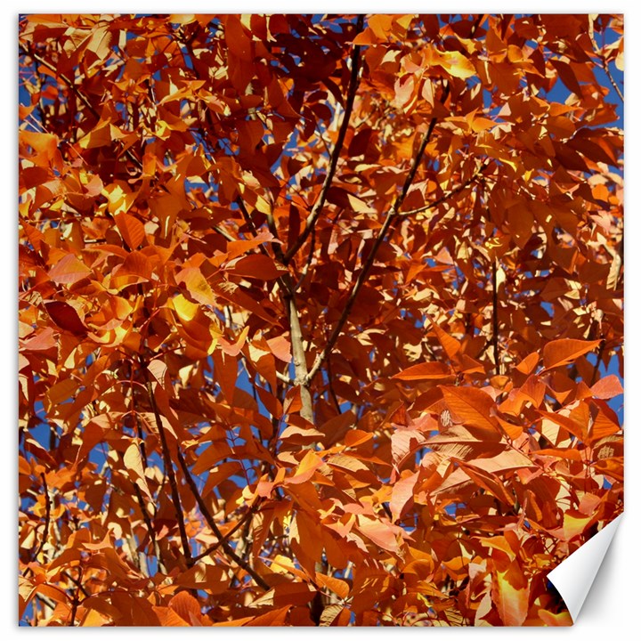 ORANGE LEAVES Canvas 12  x 12  