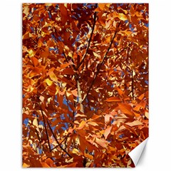 Orange Leaves Canvas 12  X 16  