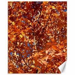 Orange Leaves Canvas 16  X 20  