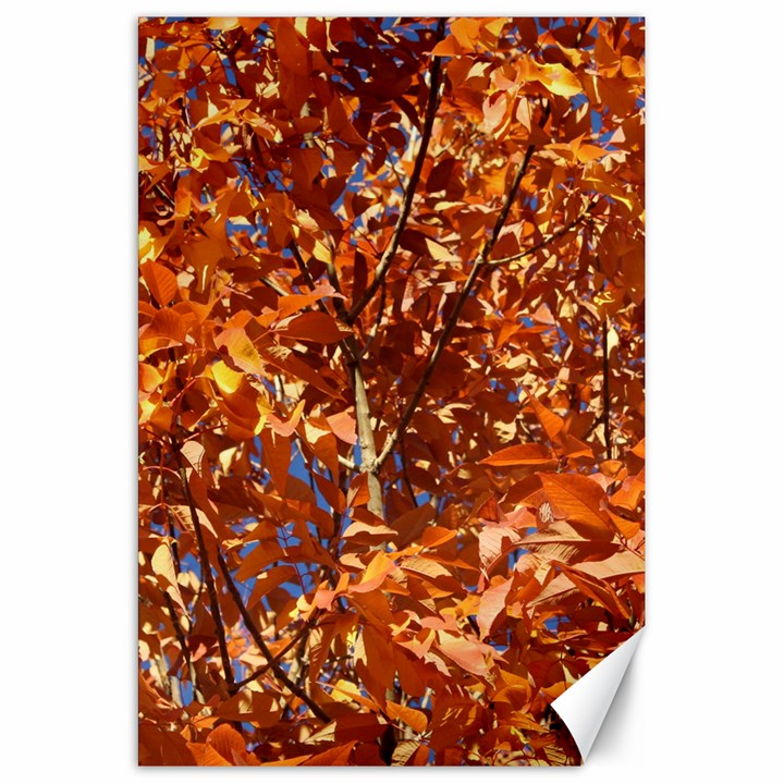 ORANGE LEAVES Canvas 20  x 30  