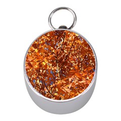 Orange Leaves Mini Silver Compasses