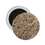 LIGHT COLORED STRAW 2.25  Magnets