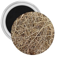 Light Colored Straw 3  Magnets by trendistuff