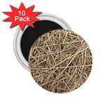 LIGHT COLORED STRAW 2.25  Magnets (10 pack) 