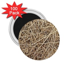 Light Colored Straw 2 25  Magnets (100 Pack)  by trendistuff