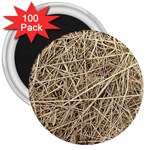 LIGHT COLORED STRAW 3  Magnets (100 pack)