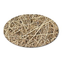 Light Colored Straw Oval Magnet by trendistuff