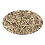 LIGHT COLORED STRAW Oval Magnet