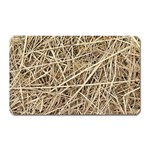 LIGHT COLORED STRAW Magnet (Rectangular)